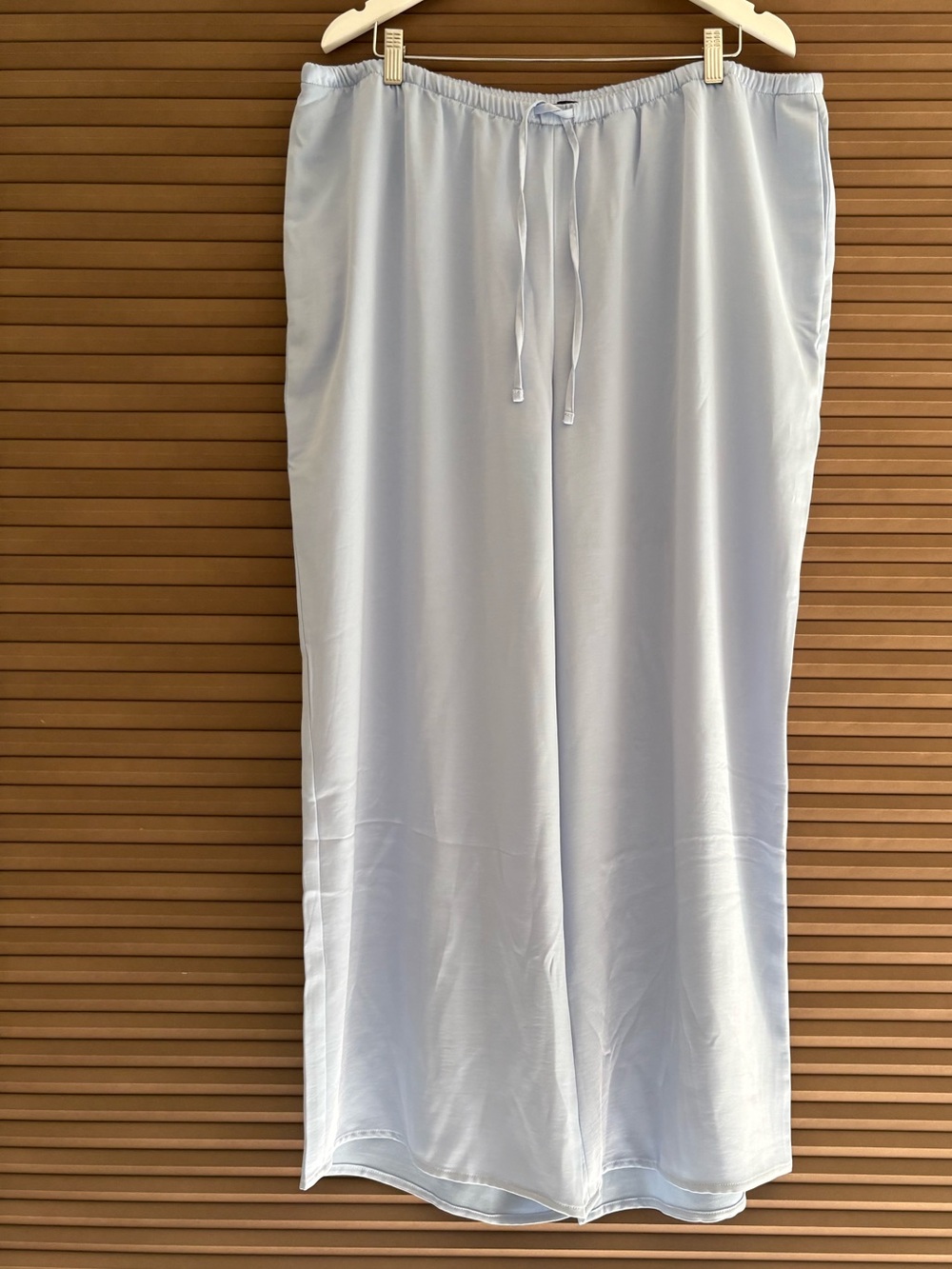 Express womans Blue Drawstring pants